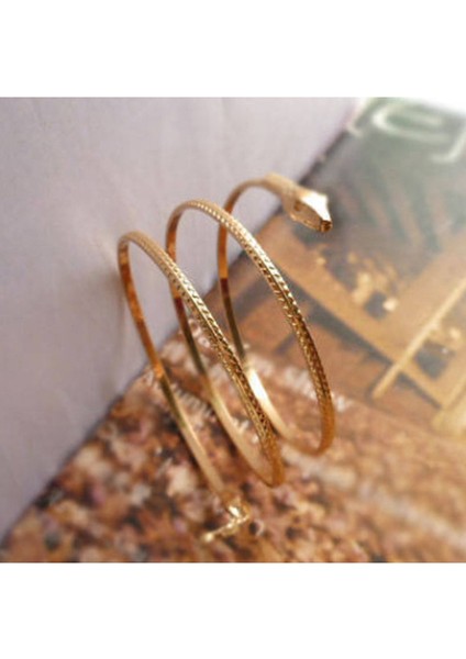 Moda Sarmal Yılan Spiral Üst Kol Manşet Kol Bandı Bileklik Bileklik Gümüş (Yurt Dışından) fiyatları