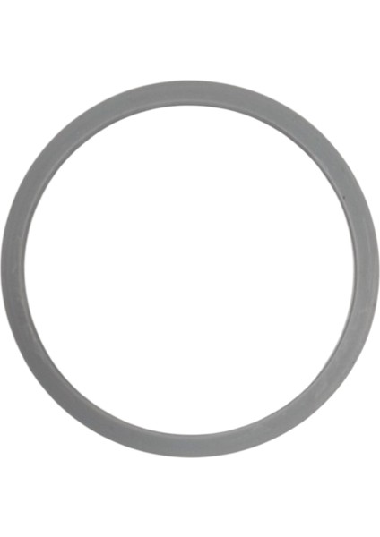 AR1101 - AR1166 Shake'n Take Joy Blender Için Bıçak Contası