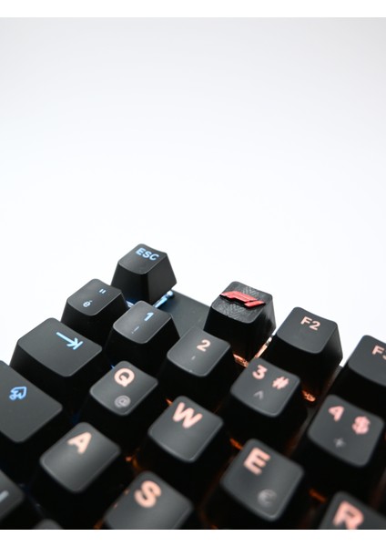 F1 Keycap – Tekli Tuş Başlığı, Premium Pla Özel Tasarım Mekanik Klavye Tuşları