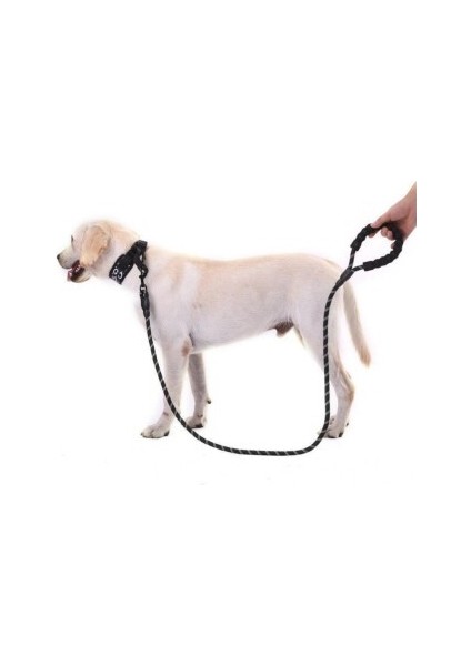 Reflektörlü Köpek Tasması 130 Cm. fiyatları