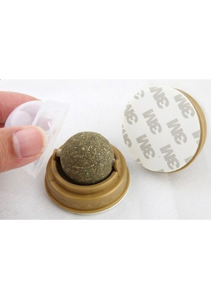 Kedi Otu Oyun Topu fırsatları