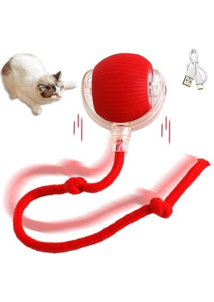 Şarjlı Kedi Oyuncağı