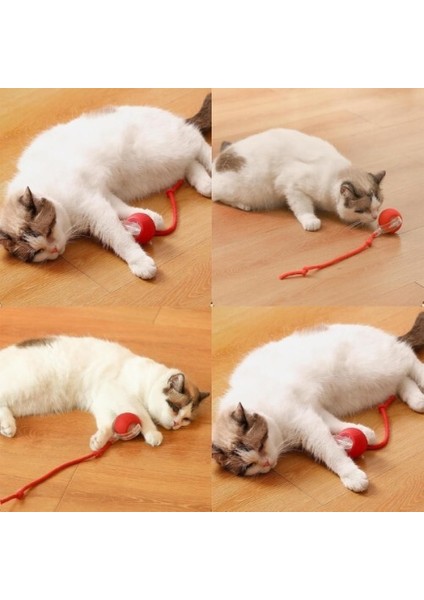 Şarjlı Kedi Oyuncağı fiyatları