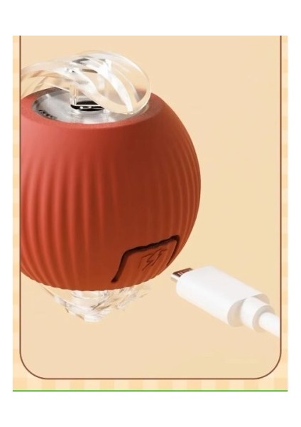 Şarjlı Kedi Oyuncağı fırsatları