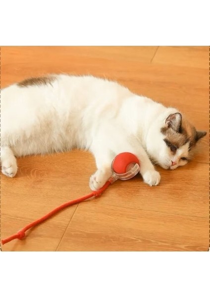 Şarjlı Kedi Oyuncağı indirimleri