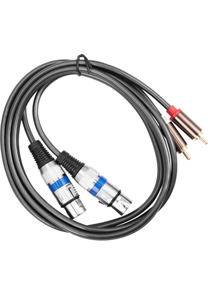 Hifi Ses Kablosu 2 Rca Erkek Xlr 3 Pin Dişi Karıştırma Konsolu Amplifikatör Çift Xlr Çift Rca Korumalı Kablo 1.5 M (Yurt Dışından)