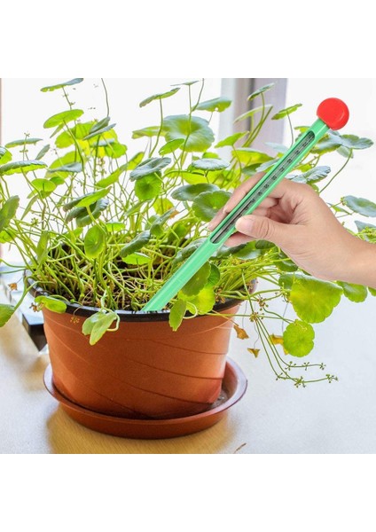 Mevcut Dayanıklı Zaman Tasarrufu Termometresi, Toprak Sıcaklık Test Cihazı, Çimler Iç Mekan Bitkileri Için (Yurt Dışından) fırsatları