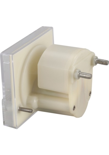 85L1 Ac 0-300V Analog Iğne Panel Metre Voltmetre (Yurt Dışından)
