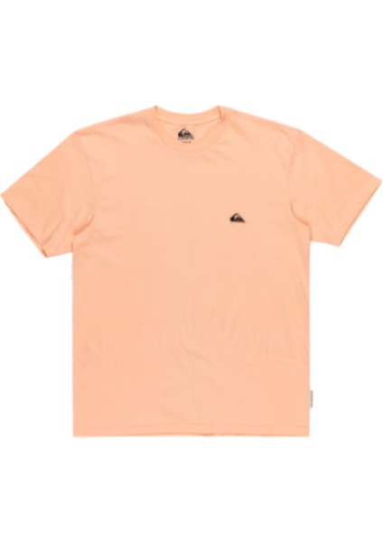 Basic Ss Tee Erkek Tshirt EQYZT07711