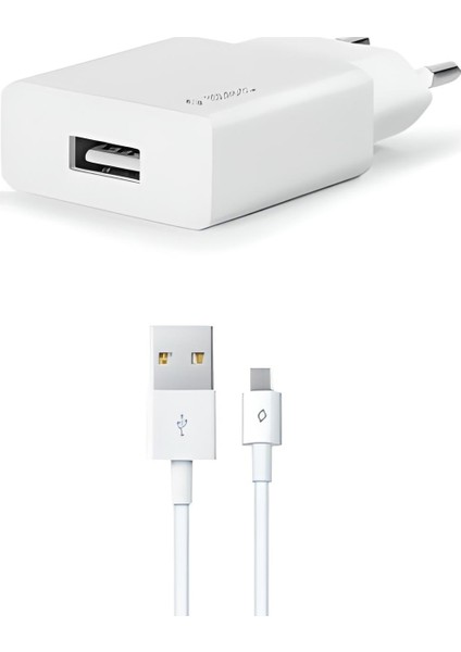 Smart Charger Usb+Micro USB Cable 2SCS20MS