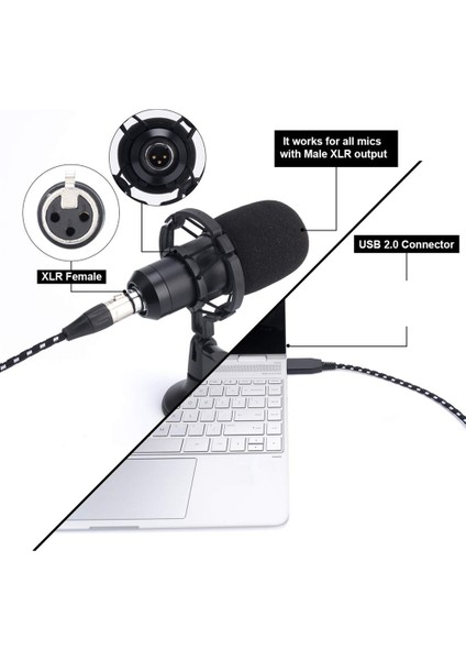 USB Kadın Mikrofon Kayıt Kablosu 3 Metre Ses Konektörü Kablosu Adaptörü Müzik Aleti Kayıt Karaoke (Yurt Dışından) indirimleri