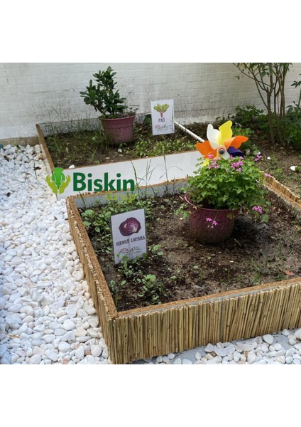 Natural 20CM x 250CM Bambu Kamış Hasır Çit Dekoratif Bahçe Balkon ve Duvar Çiti Reed Fence