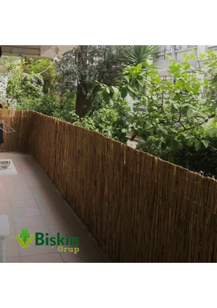 115CM Yükseklik x 200CM Genişlik Bambu Kamış Hasır Çit Dekoratif Bahçe Balkon ve Duvar Çiti Reed Fence