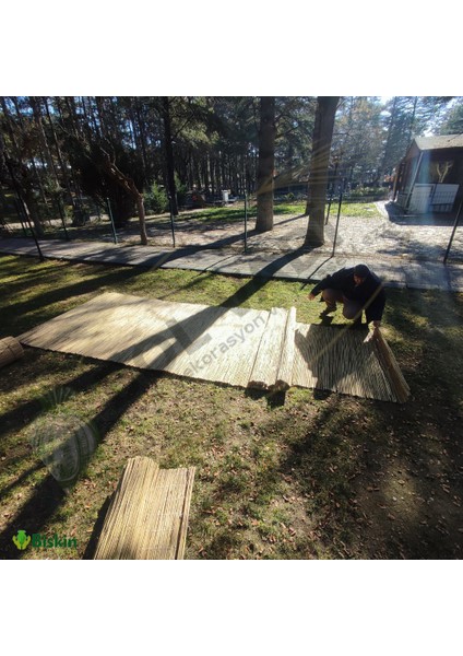 250CM Yükseklik x 100CM Genişlik Doğal Bambu Kamış Hasır Çit Dekoratif Bahçe Balkon ve Duvar Çiti Reed Fence