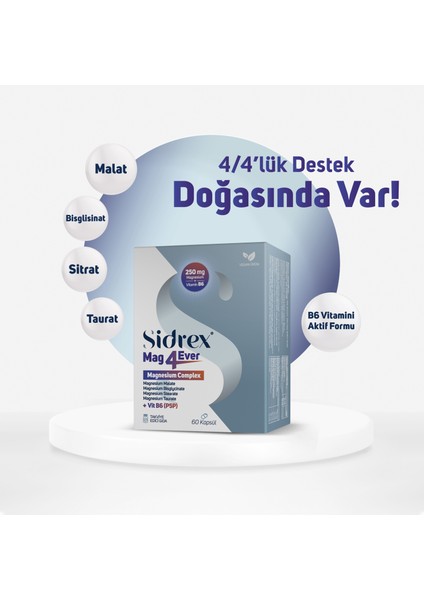 MAG4EVER Magnezyum ve Vitamin B6 Içeren Takviye Edici Gıda 60 Kapsul