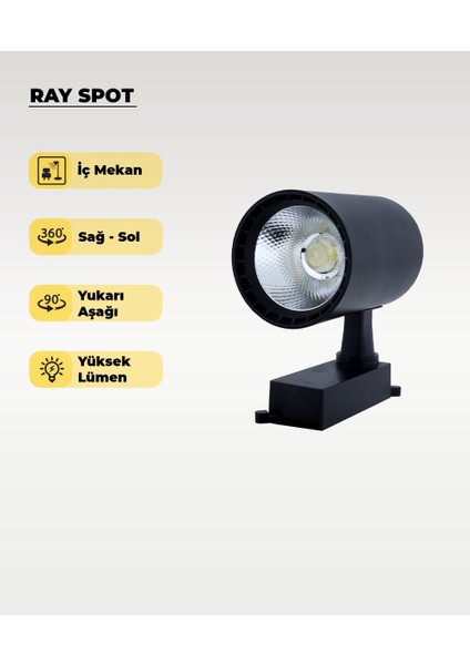 30W Siyah Ray Spot 4000K (Gün Işığı)