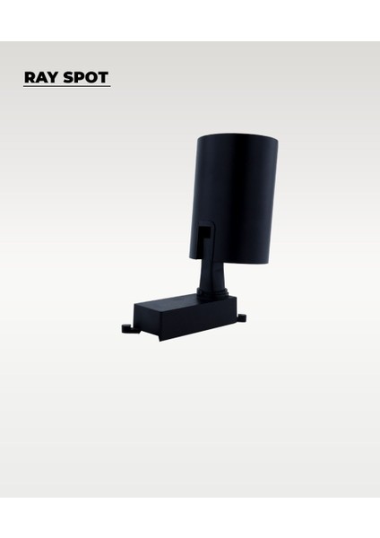 30W Siyah Ray Spot 4000K (Gün Işığı) fiyatları