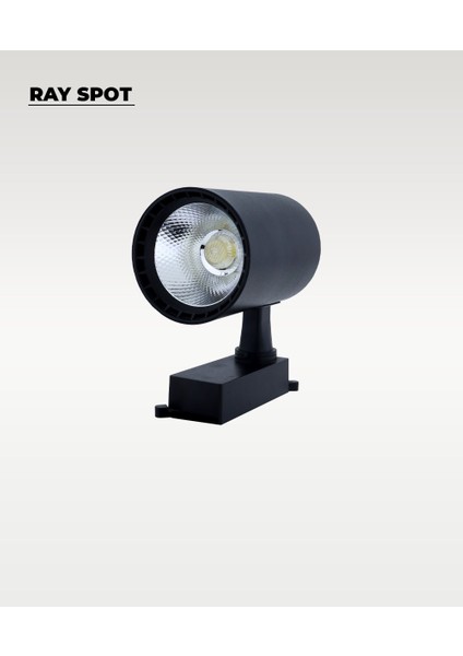 30W Siyah Ray Spot 4000K (Gün Işığı) modelleri