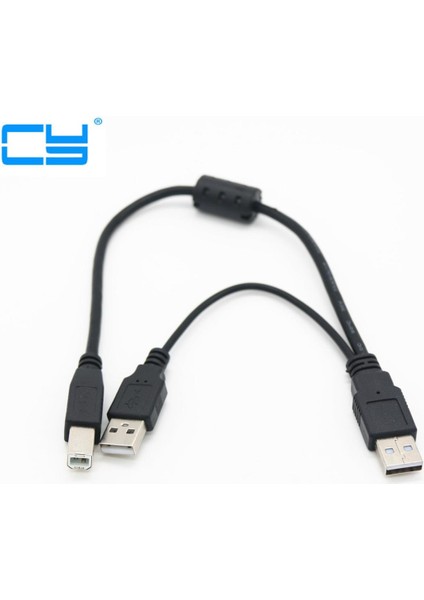USB 2.0 A Erkekten B Erkeke Am-Bm Güç Y Kablosu ile Çift Çift USB A'dan Tek Yazıcıya USB B Taşınabilir HDD Muhafaza Için 30 cm 1ft (Yurt Dışından)