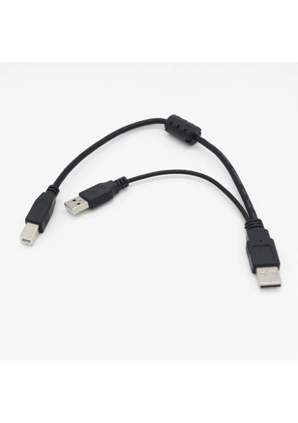 USB 2.0 A Erkekten B Erkeke Am-Bm Güç Y Kablosu ile Çift Çift USB A'dan Tek Yazıcıya USB B Taşınabilir HDD Muhafaza Için 30 cm 1ft (Yurt Dışından)
