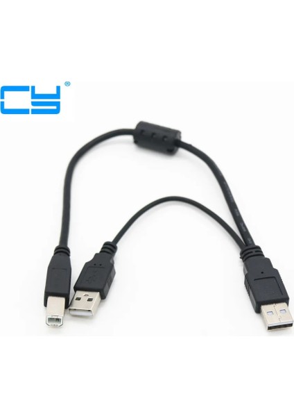 USB 2.0 A Erkekten B Erkeke Am-Bm Güç Y Kablosu ile Çift Çift USB A'dan Tek Yazıcıya USB B Taşınabilir HDD Muhafaza Için 30 cm 1ft (Yurt Dışından)