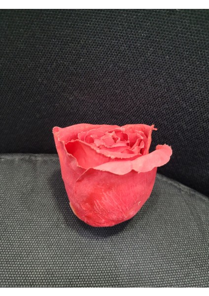 Kırmızı Gül Başı 6cm 1 Adet