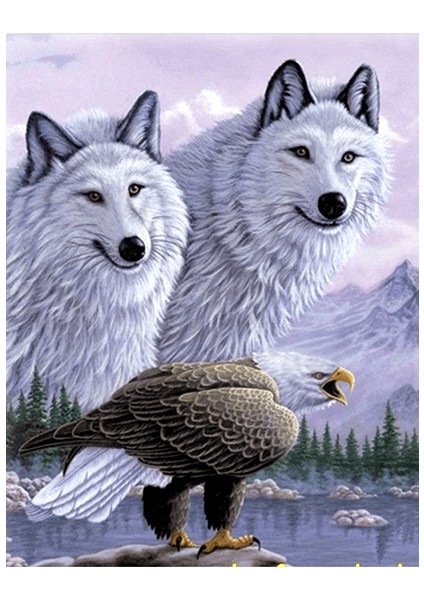 3 Boyutlu Kartallı Kurt Resmi Tablosu 40x60 cm