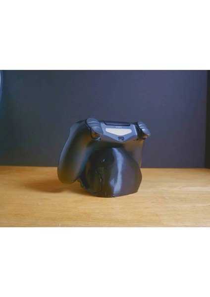 Switch Pro Kuru Kafa Kol Tutacağı