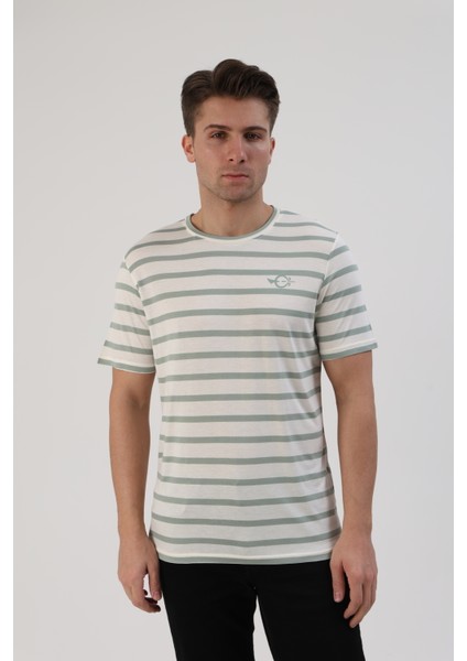 Çizgili Erkek T-Shirt modelleri