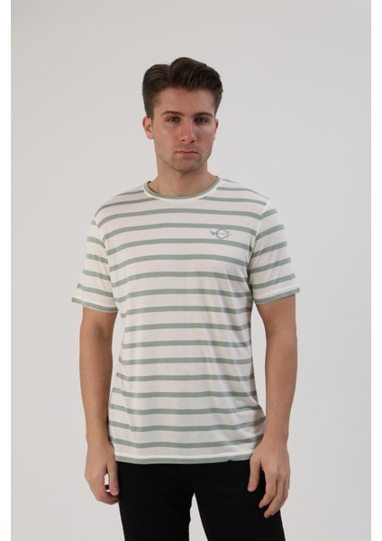Çizgili Erkek T-Shirt fırsatları
