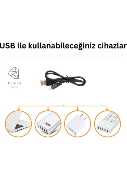 Neon Işıklı Kaktüs Masa Gece Lambası Usb+Pil Ev-Ofis Oyuncu Odası Çocuk-Beşik Odası Neon LED Kaktüs fırsatları