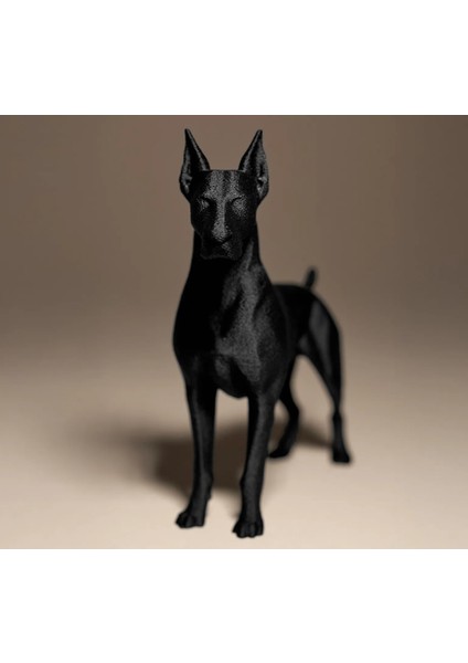 Doberman Köpek Biblo Dekor Hediyelik 12 x 6 x 11. 5 cm
