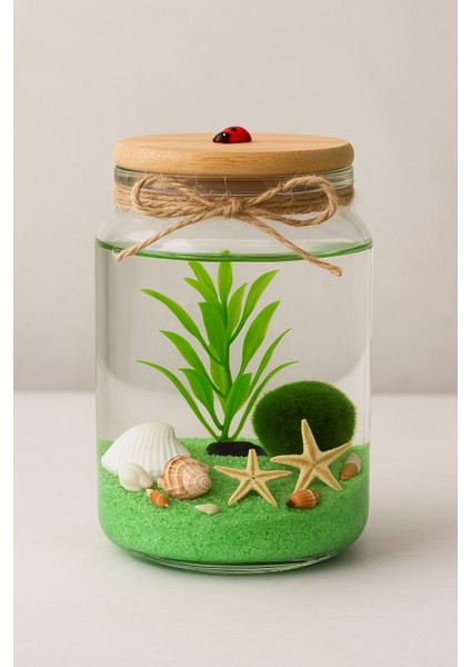 Marimo Şans Topu | Doğal Teraryum Anneler Günü Sevgililer Özel Dekoratif Hediye