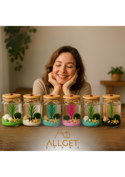 Marimo Şans Topu | Doğal Teraryum Anneler Günü Sevgililer Özel Dekoratif Hediye