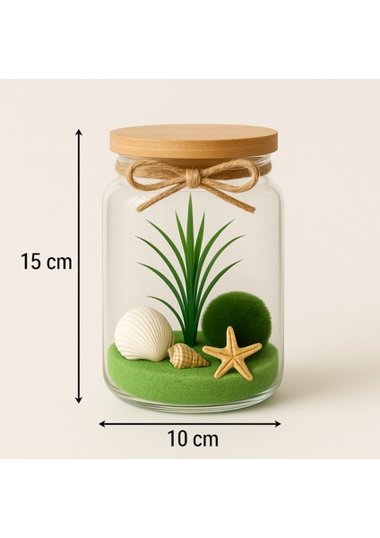 Marimo Şans Topu | Doğal Teraryum Anneler Günü Sevgililer Özel Dekoratif Hediye