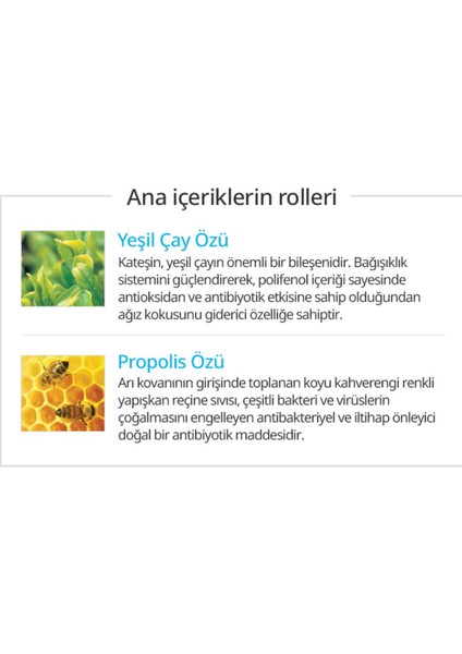 Atomy Diş Macunu modelleri