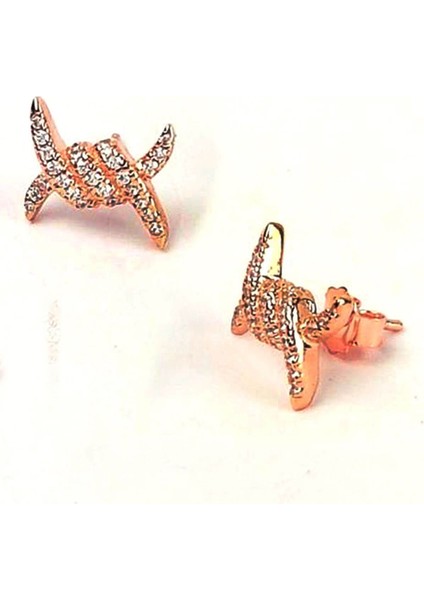 Zirkon taşlı gümüş bayan küpe