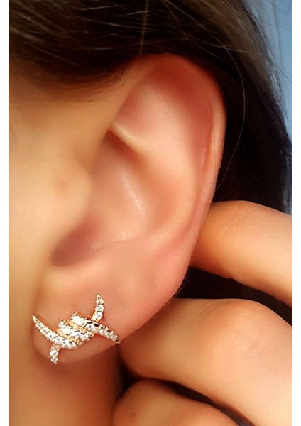 Zirkon taşlı gümüş bayan küpe fiyatları