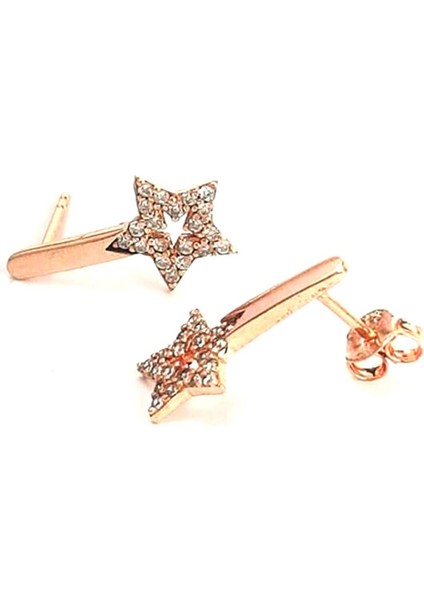 Zirkon taşlı yıldızlı gümüş bayan küpe