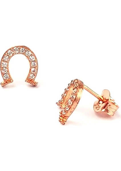 Nal Figürlü zirkon taşlı gümüş bayan küpe