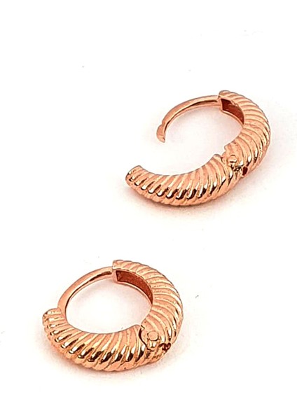 Altın işçiliğinde 925 ayar gümüş burgu halka küpe 0.5 cm çap fiyatları