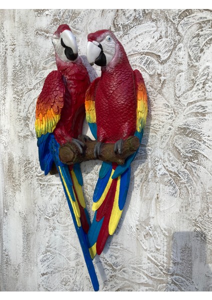 Papağan Ikili Macaw