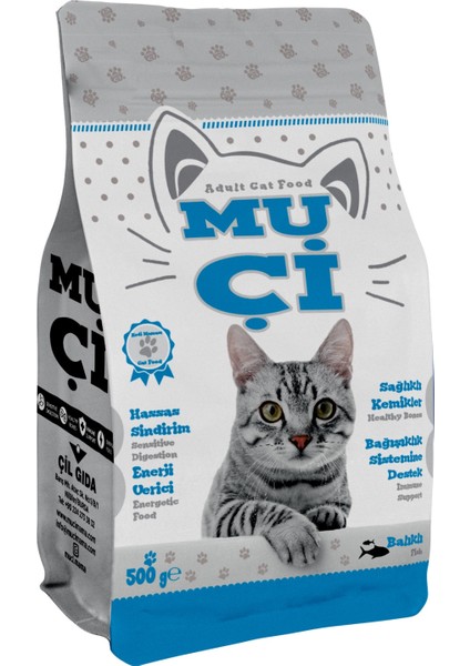Kuru Kedi Maması Somon Balıklı 500 gr