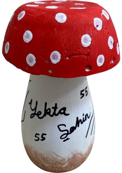 Kişiye Özel Mantar Dekor modelleri