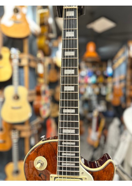 Elp 350 Les Paul Gitar