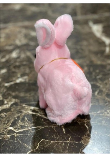 Pilli Sesli Zıp Zıp Yürüyen Havuçlu Tavşan Peluş Oyuncak 15 cm 1 Adet fiyatları
