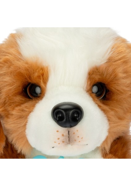 Sevimli Köpeğim LP800000 1 Adet fiyatları