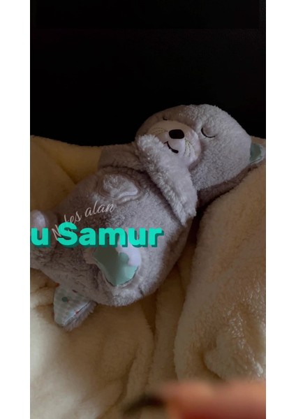 Bebek Uyku Arkadaşı: Nefes Alıp Veren Peluş Su Samuru Oyuncakla Uyku Zamanı Daha Huzurlu 1 Adet fiyatları