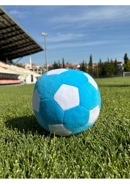 Renkli Peluş Futbol Topu 1 Adet