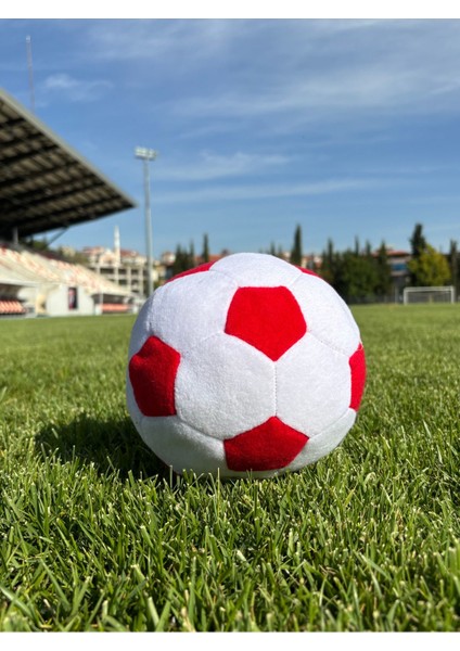 Renkli Peluş Futbol Topu 1 Adet